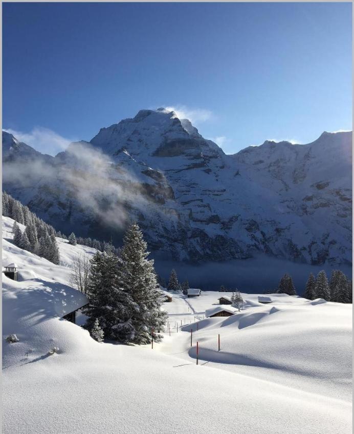Sonnenberg Dormitories Murren Luaran gambar