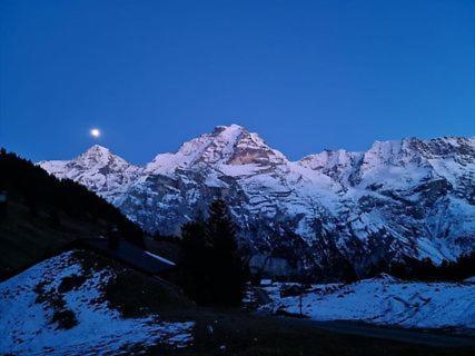 Sonnenberg Dormitories Murren Luaran gambar