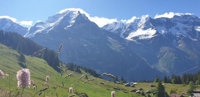 Sonnenberg Dormitories Murren Luaran gambar
